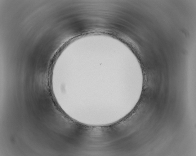X0000114100828200910051229