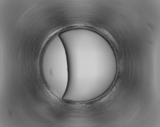X0000114100831200910051229