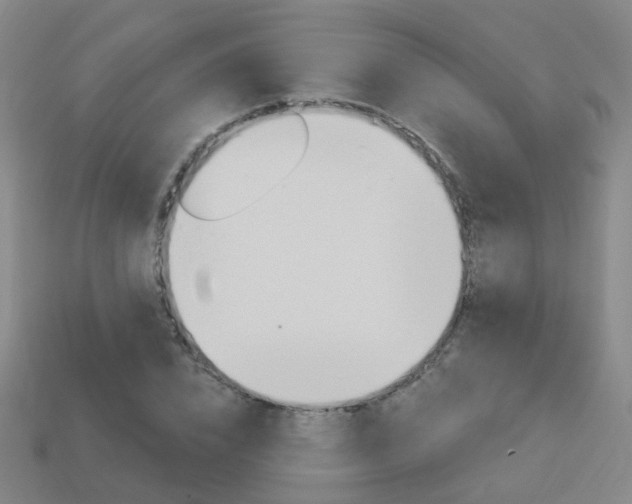 X0000114100832200910051229