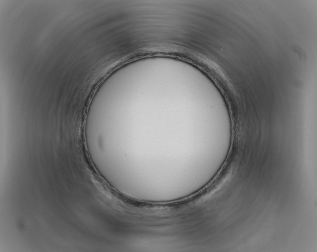 X0000114100833200910051229