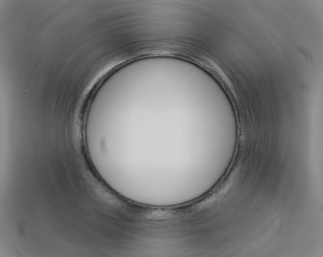 X0000114100835200910051229
