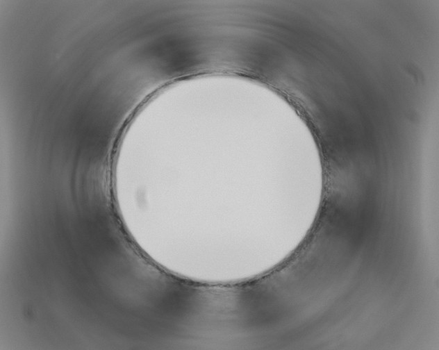 X0000114100836200910051229