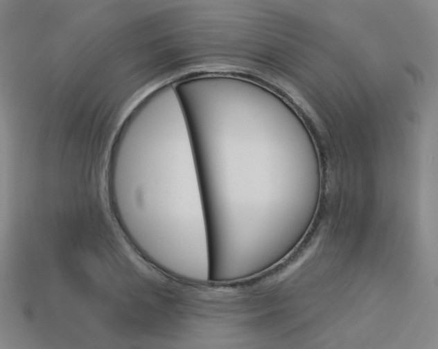 X0000114100837200910051229