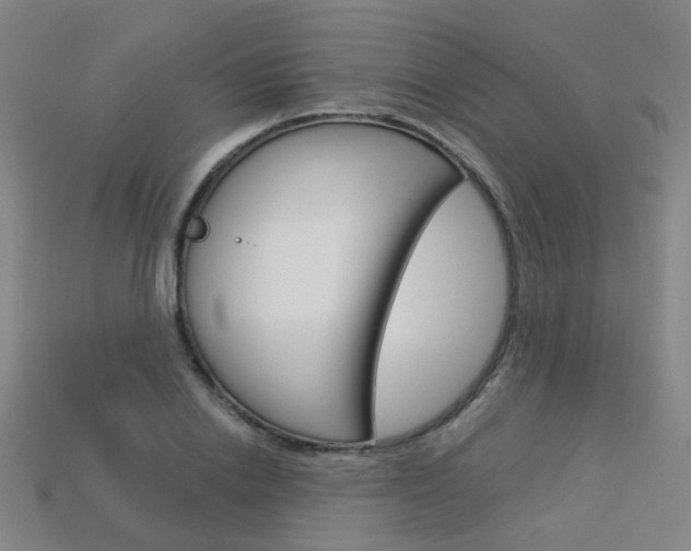 X0000114100838200910051229