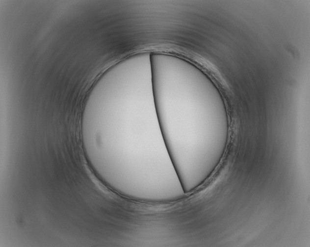 X0000114100841200910051229