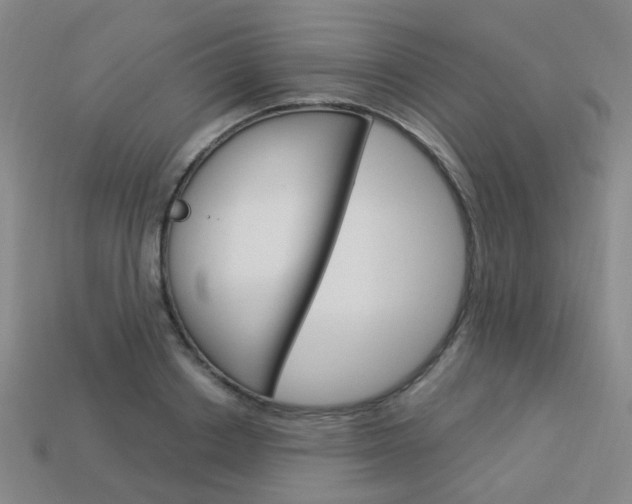 X0000114100842200910051229