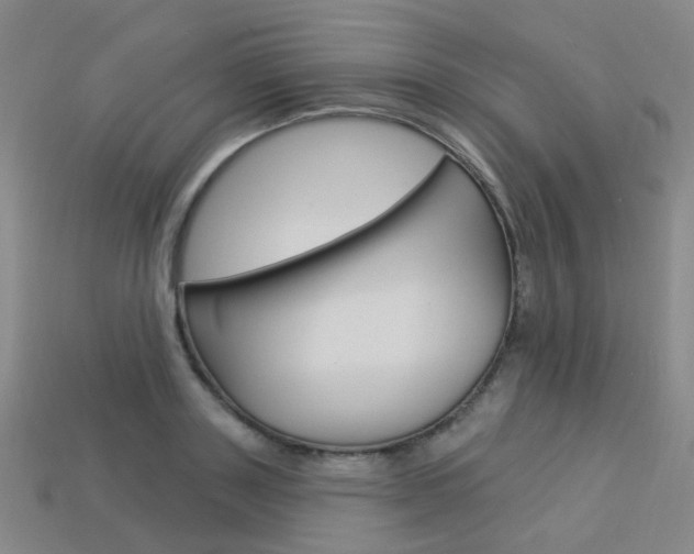 X0000114100843200910051229