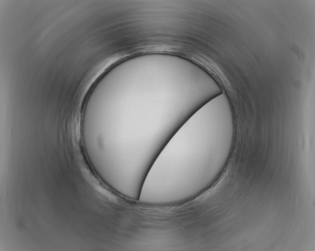 X0000114100844200910051229