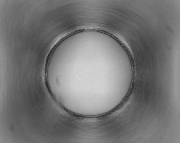 X0000114100845200910051229