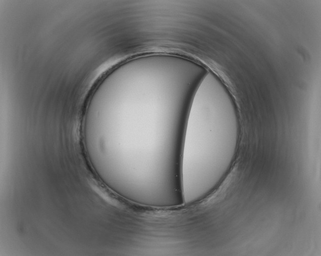 X0000114100846200910051229