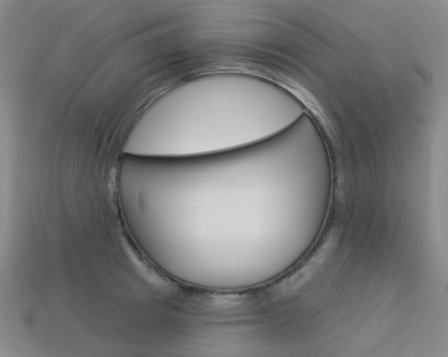X0000114100849200910051229