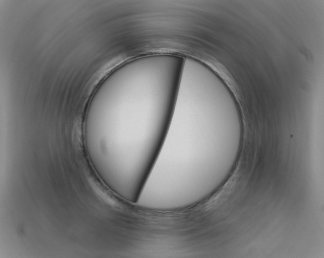 X0000114100850200910051229