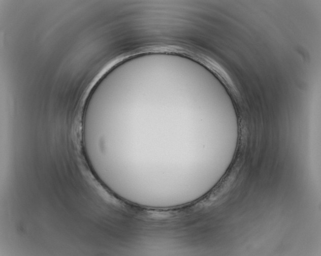 X0000114100852200910051229