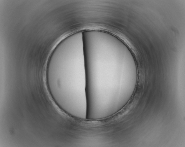 X0000114100853200910051229