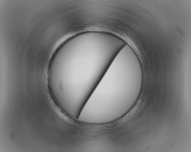 X0000114100854200910051229