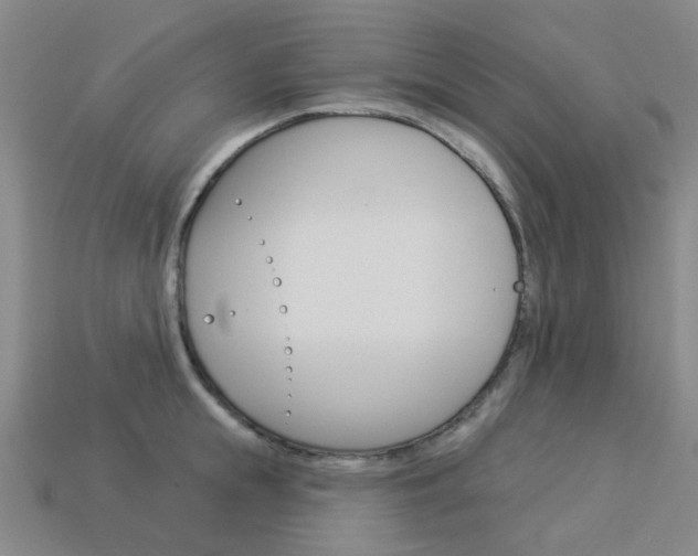 X0000114100855200910051229
