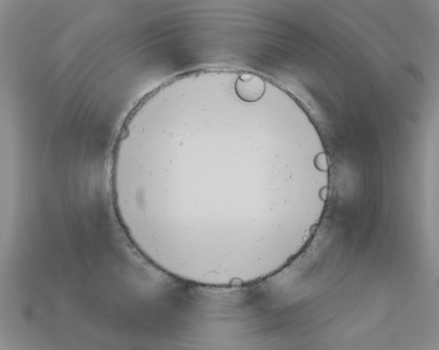 X0000114100856200910051229