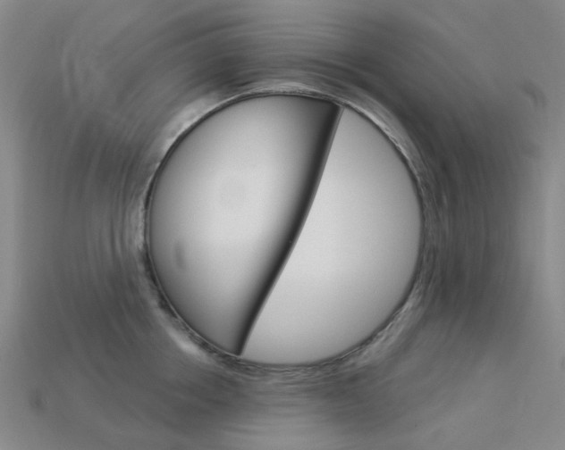X0000114100858200910051229