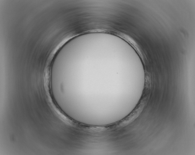 X0000114100859200910051229