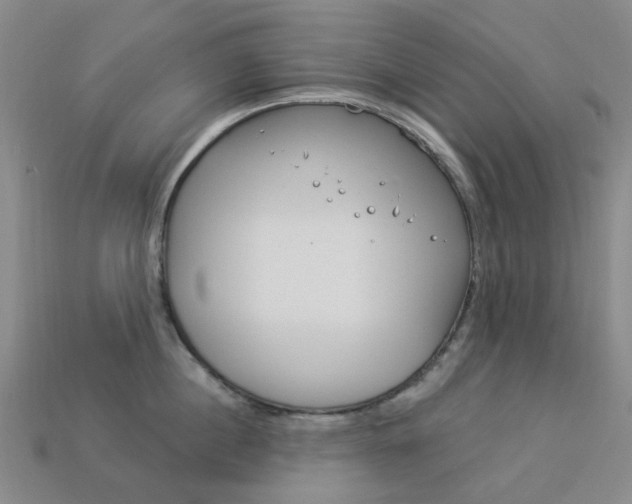 X0000114100860200910051229