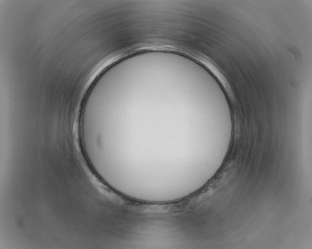 X0000114100861200910051229