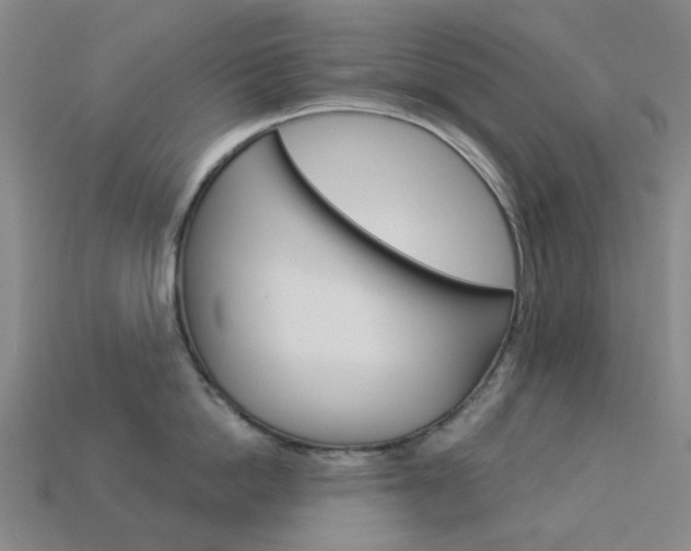 X0000114100862200910051229