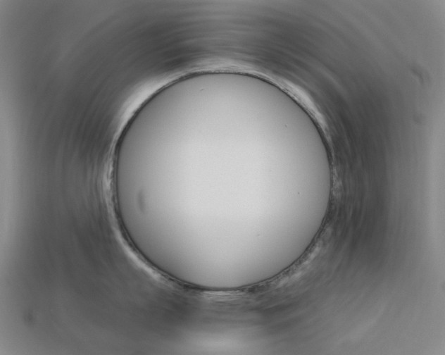 X0000114100863200910051229