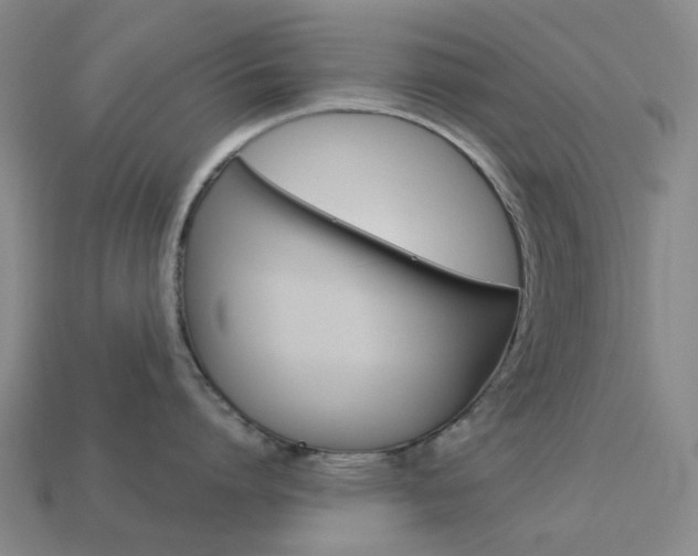 X0000114100864200910051229