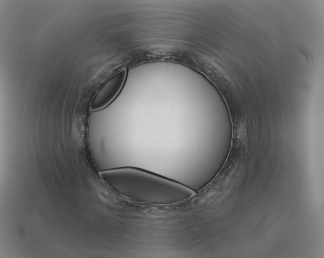 X0000114100868200910051228