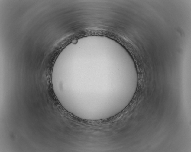 X0000114100870200910051228