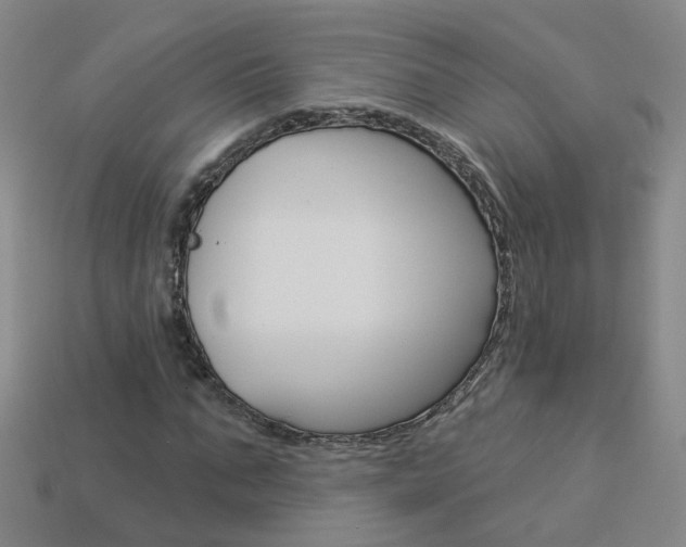 X0000114100871200910051228