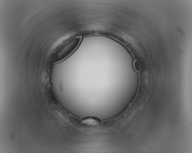 X0000114100872200910051228