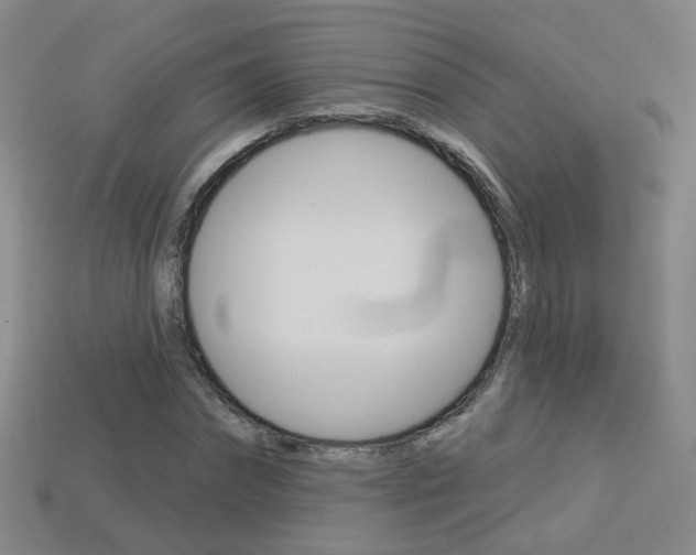 X0000114100874200910051228
