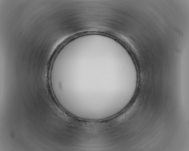 X0000114100875200910051228