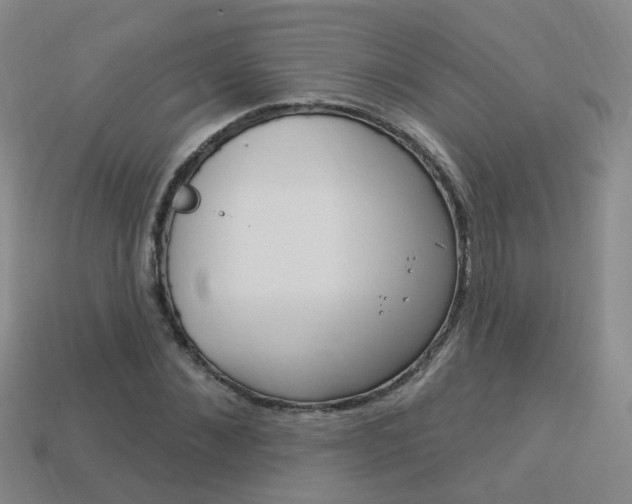 X0000114100876200910051228