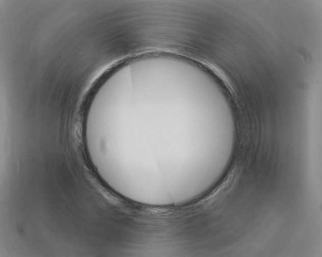 X0000114100878200910051228