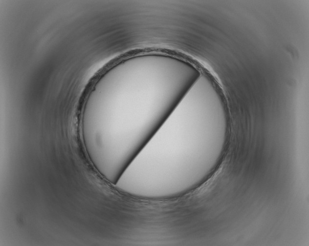 X0000114100879200910051228