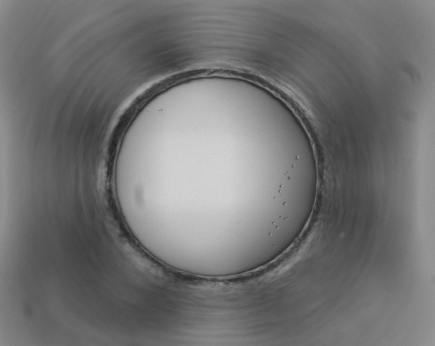 X0000114100880200910051228