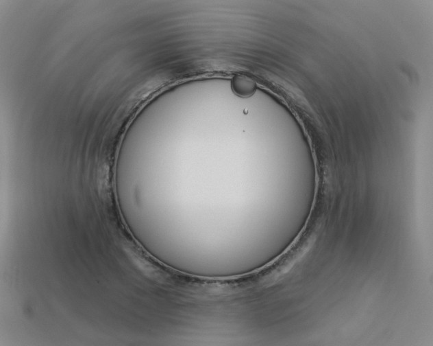 X0000114100881200910051228