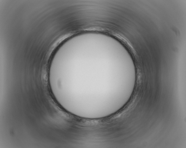 X0000114100882200910051228