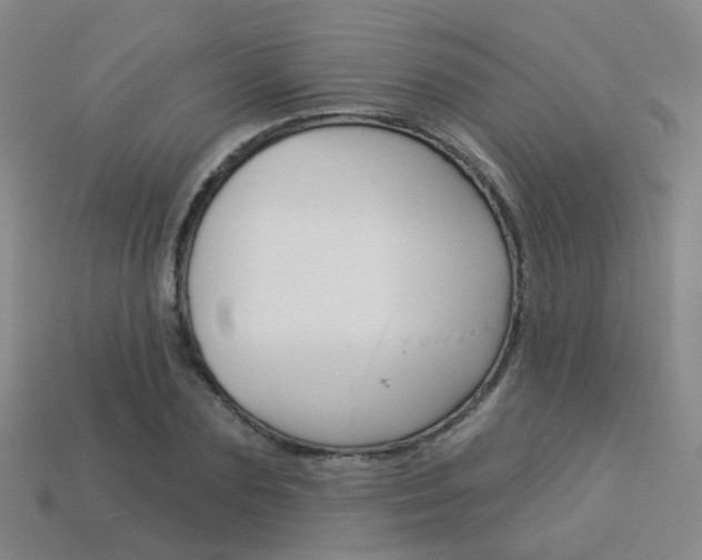 X0000114100883200910051228