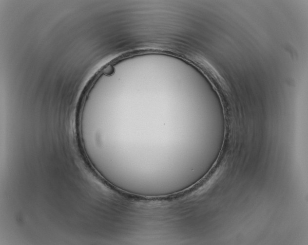 X0000114100884200910051228
