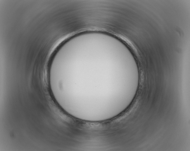 X0000114100886200910051228