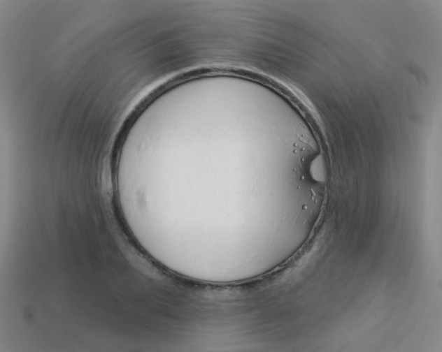 X0000114100887200910051228