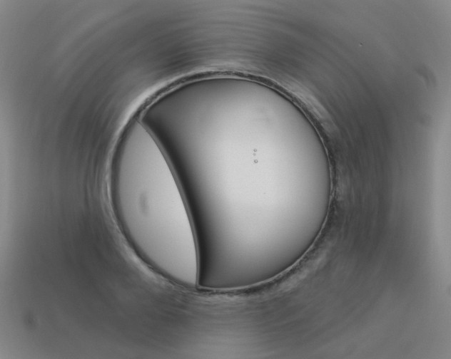 X0000114100888200910051228