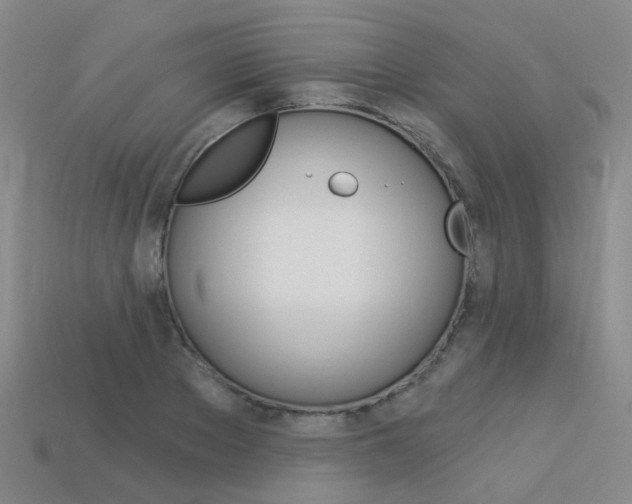 X0000114100889200910051228