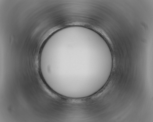 X0000114100890200910051228