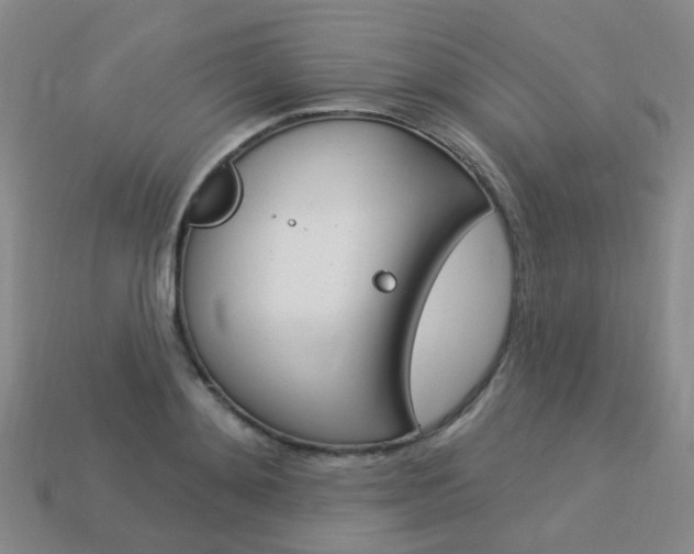 X0000114100892200910051228