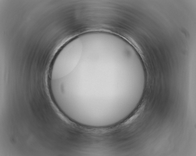 X0000114100893200910051228