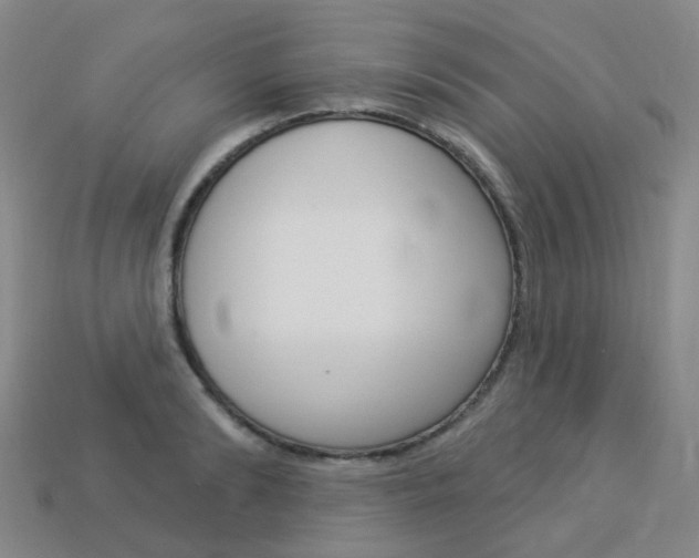 X0000114100894200910051228
